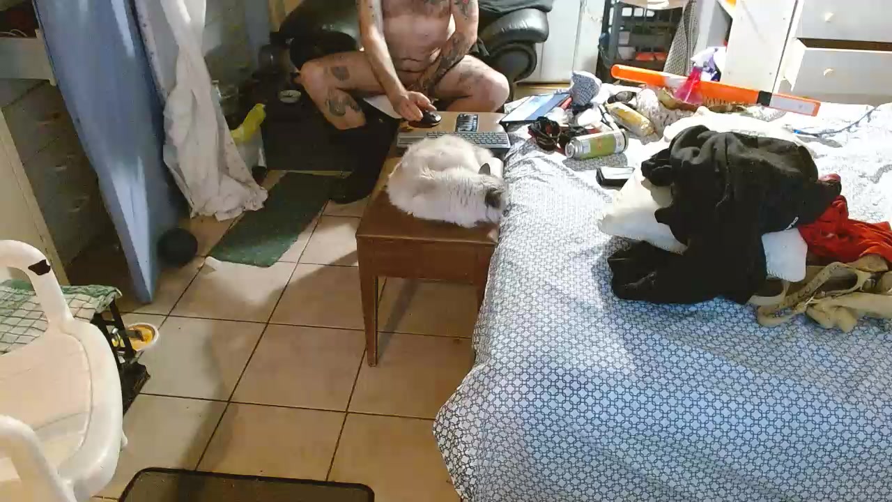 qwerty77771 Live Cam Screenshot – 2025-08-06 01:11:00
