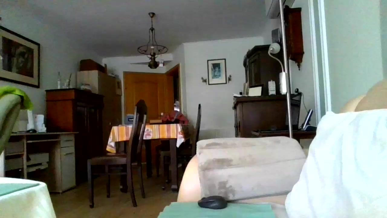 ratrie Live Cam Screenshot – 2025-08-10 11:31:47