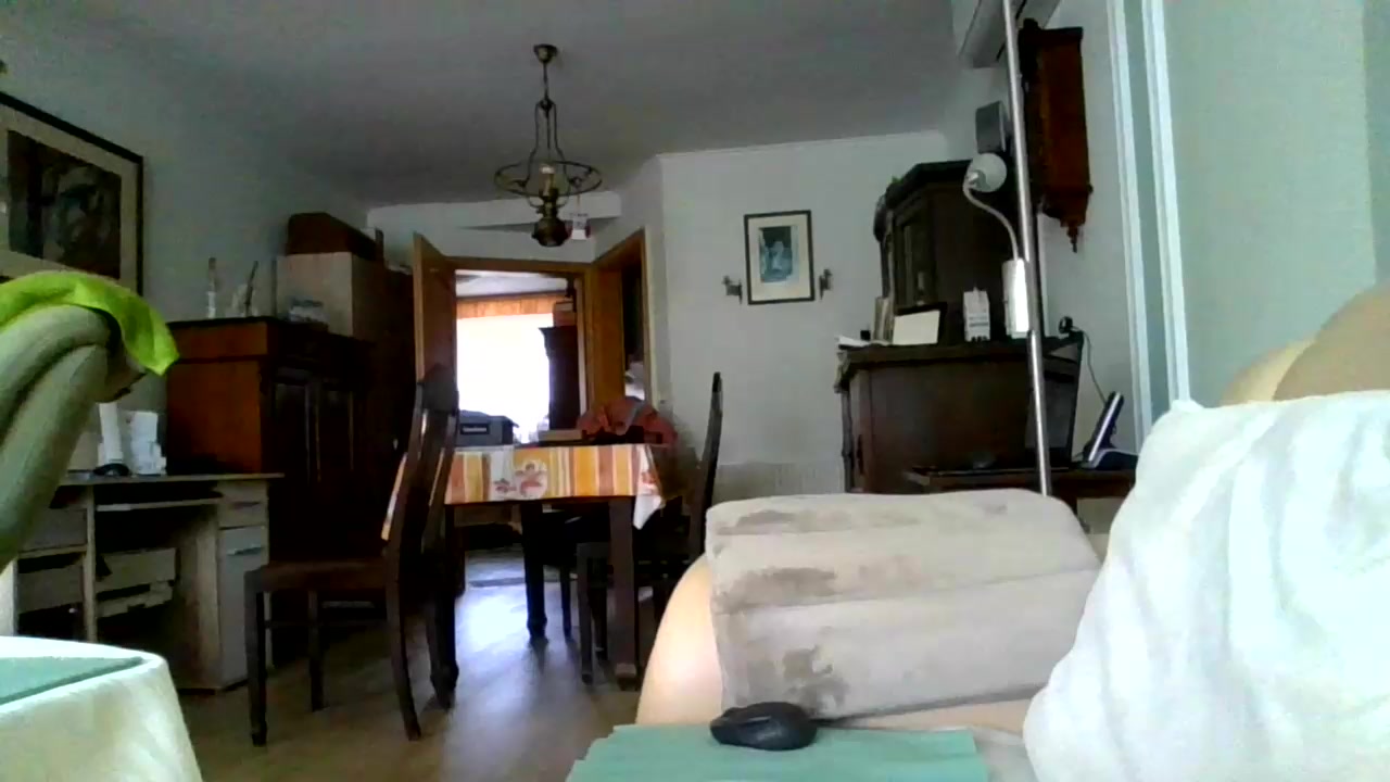 ratrie Live Cam Screenshot – 2025-08-10 12:04:02