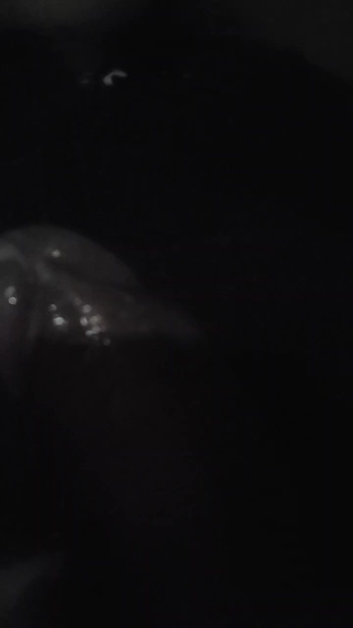 saito2 Live Cam Screenshot – 2025-08-27 23:37:51