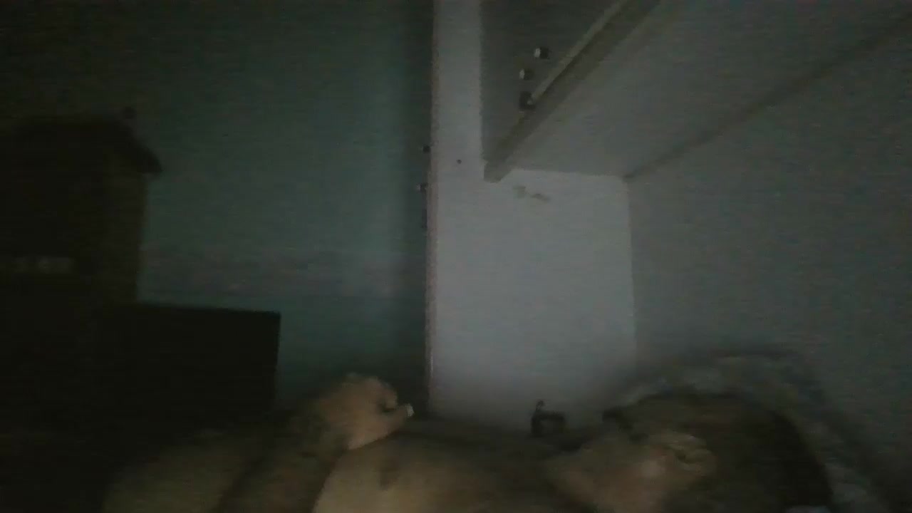 sciamano3 Live Cam Screenshot – 2025-08-30 03:15:06