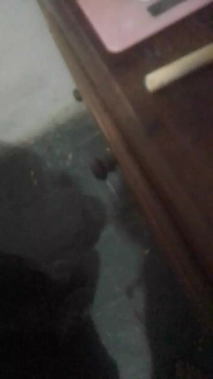 sexmundo1 Live Cam Screenshot – 2025-08-16 11:12:22
