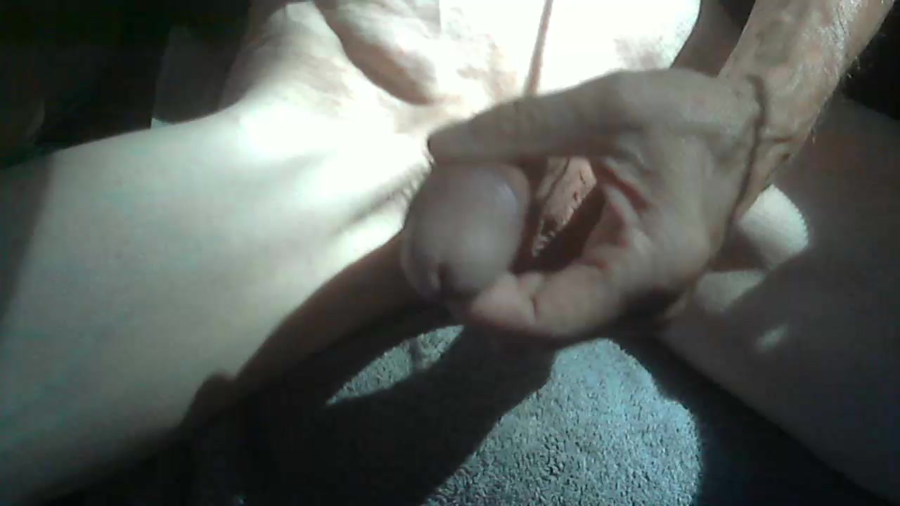 sigfree Live Cam Screenshot – 2025-08-04 13:24:26