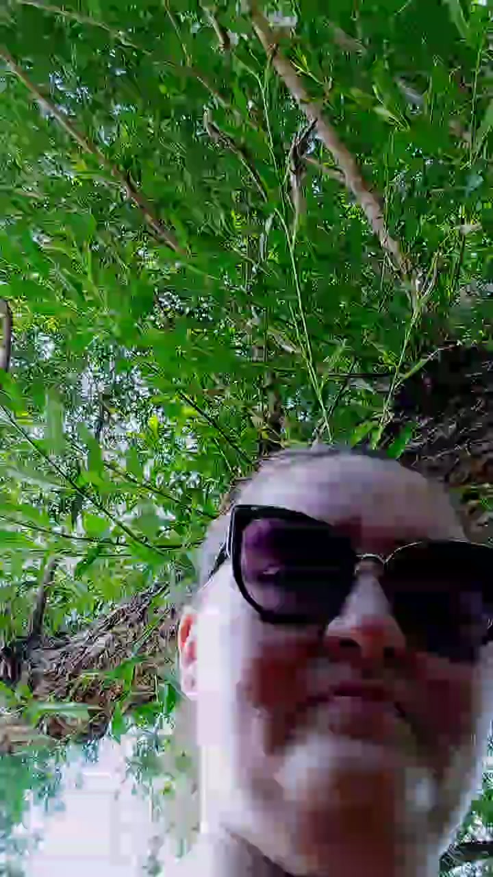 sinnabun420 Live Cam Screenshot – 2025-08-13 20:12:34