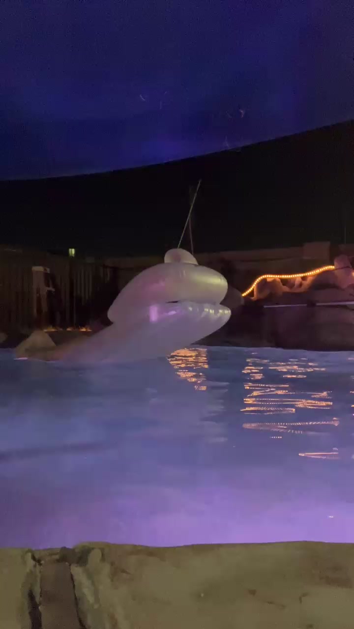 skyler420_hot Live Cam Screenshot – 2025-08-06 08:53:48