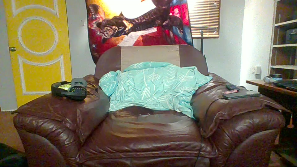 sleepyzeep Live Cam Screenshot – 2025-08-29 14:54:52