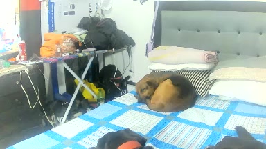 soyandreina Live Cam Screenshot – 2025-08-13 17:23:19