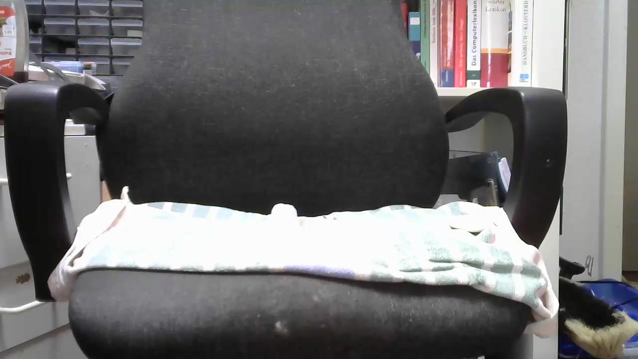 steiferbolzen2 Live Cam Screenshot – 2025-08-30 14:11:21