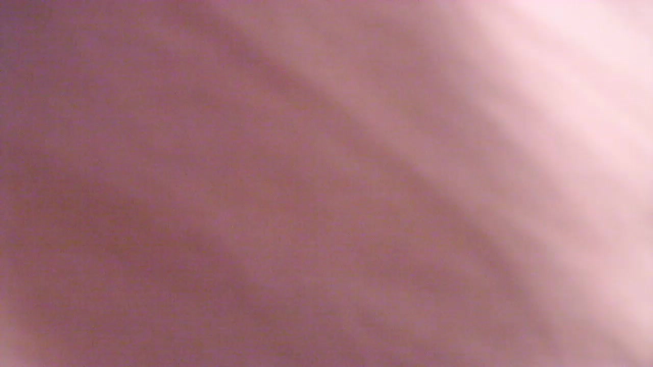 tasse1 Live Cam Screenshot – 2025-08-13 18:15:01