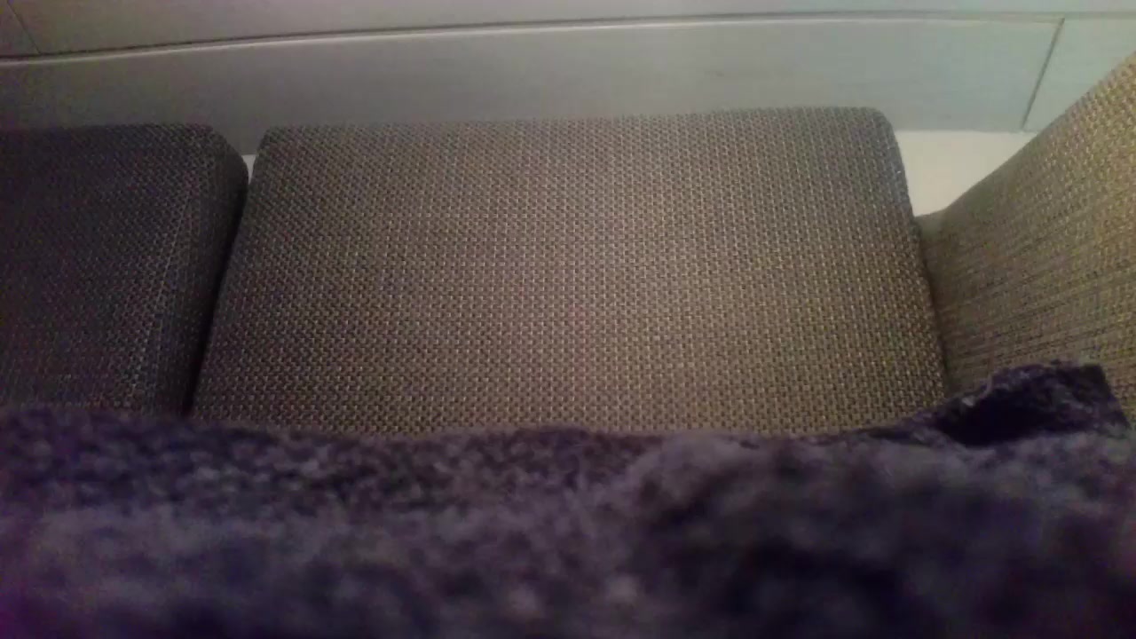 thom8 Live Cam Screenshot – 2025-09-11 16:35:33