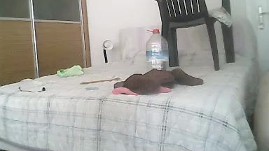 umut4545 Live Cam Screenshot – 2025-08-06 10:10:33