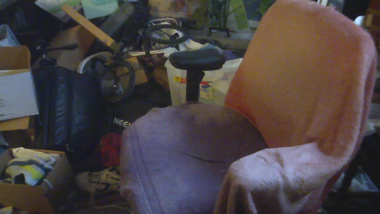 unknown2024 Live Cam Screenshot – 2025-08-03 22:28:58