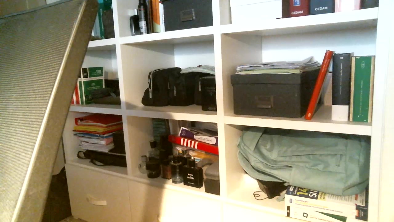 vinkstick Live Cam Screenshot – 2025-08-08 18:19:28