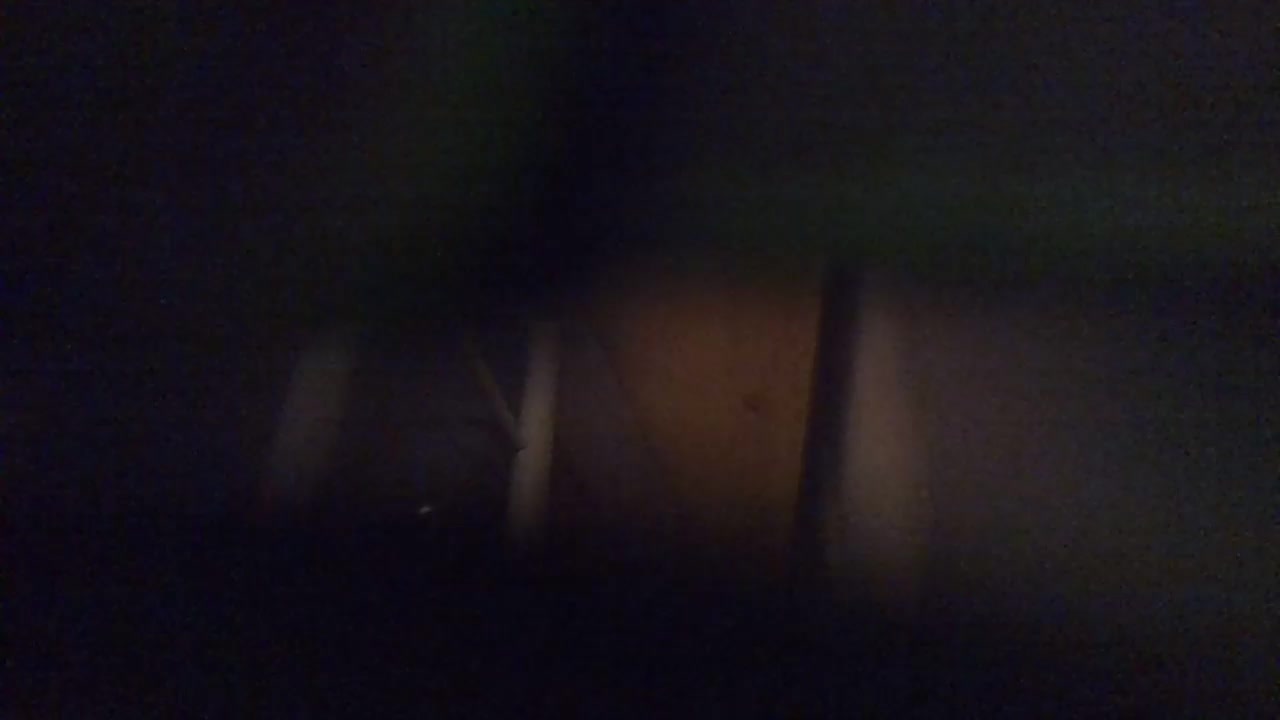 wolf2701 Live Cam Screenshot – 2025-08-04 05:24:41