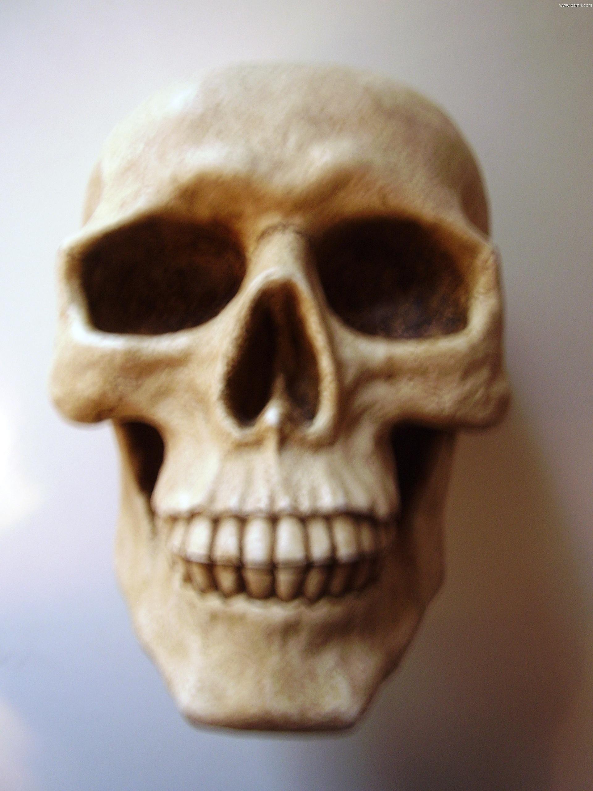 Profile image of 1justforfun