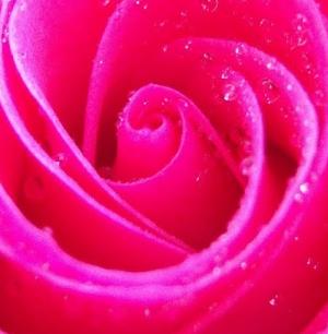 Profile image of ARealPink