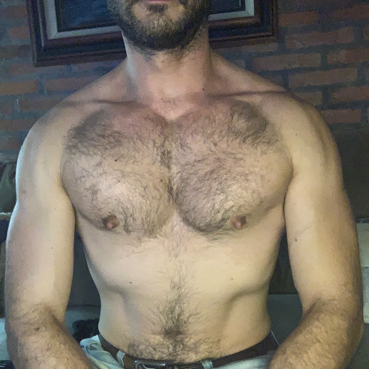 Profile image of Adriano_Peludo