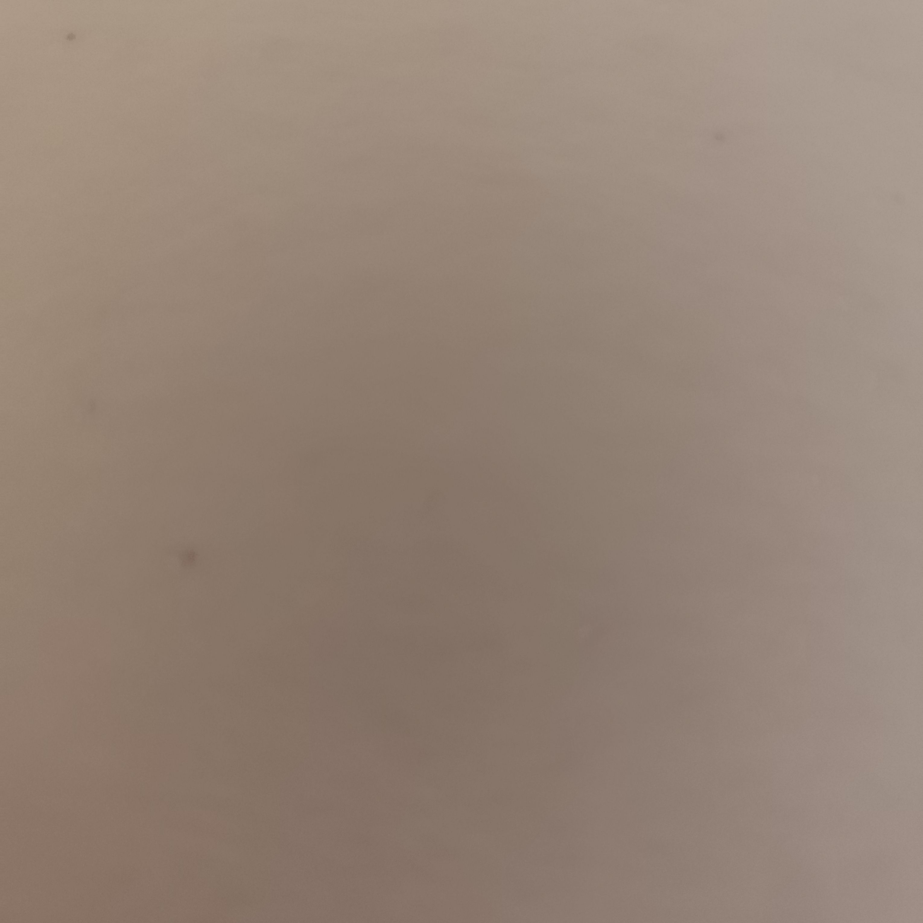 Profile image of Alfredocomelon