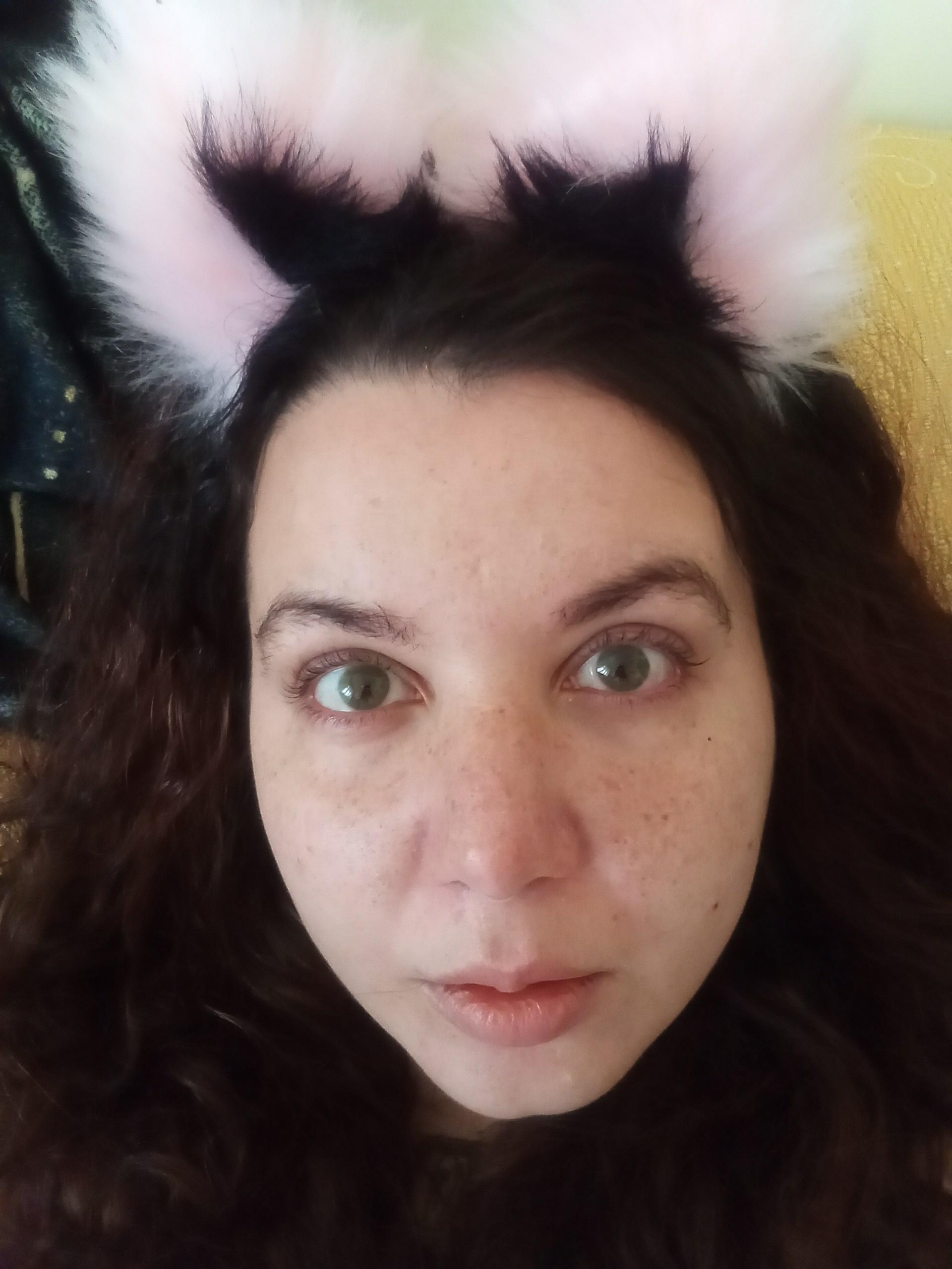 Profile image of AliceBehind