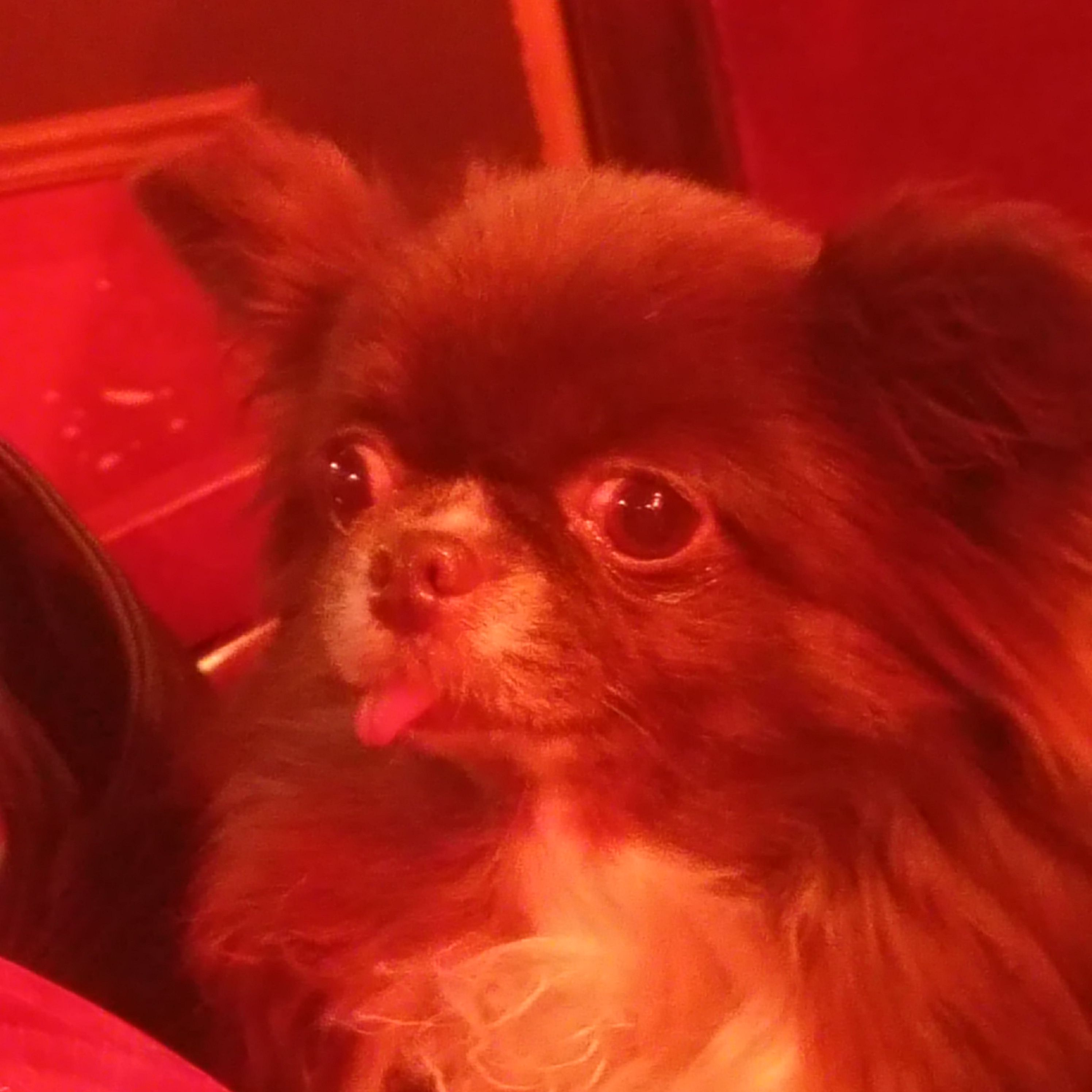 Profile image of Anhhh