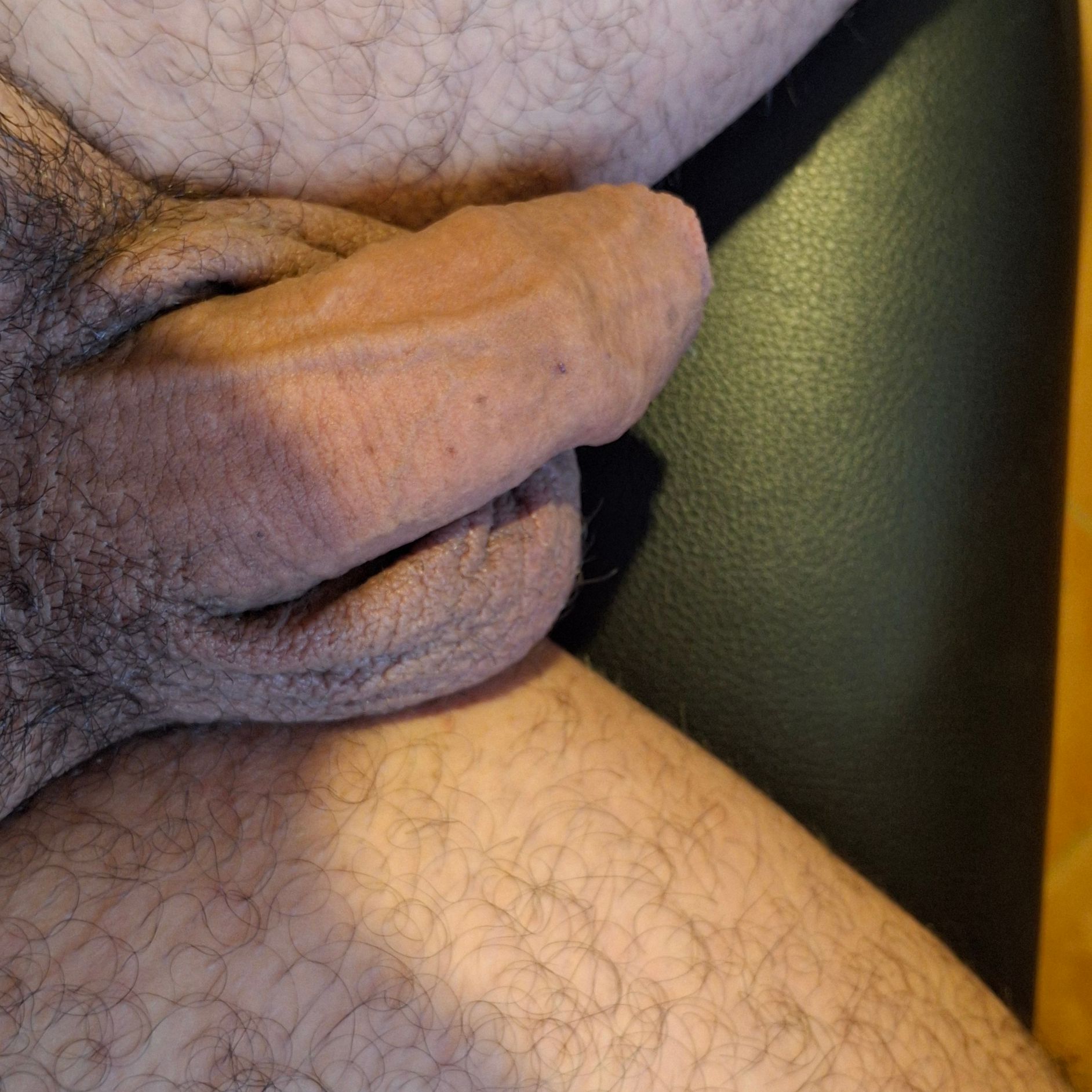 Profile image of Antocian