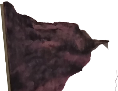 Profile image of AviDol