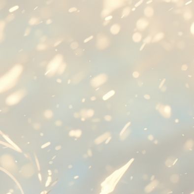 Profile image of Bear_T3T