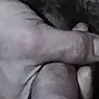 Profile image of Biricchino1976