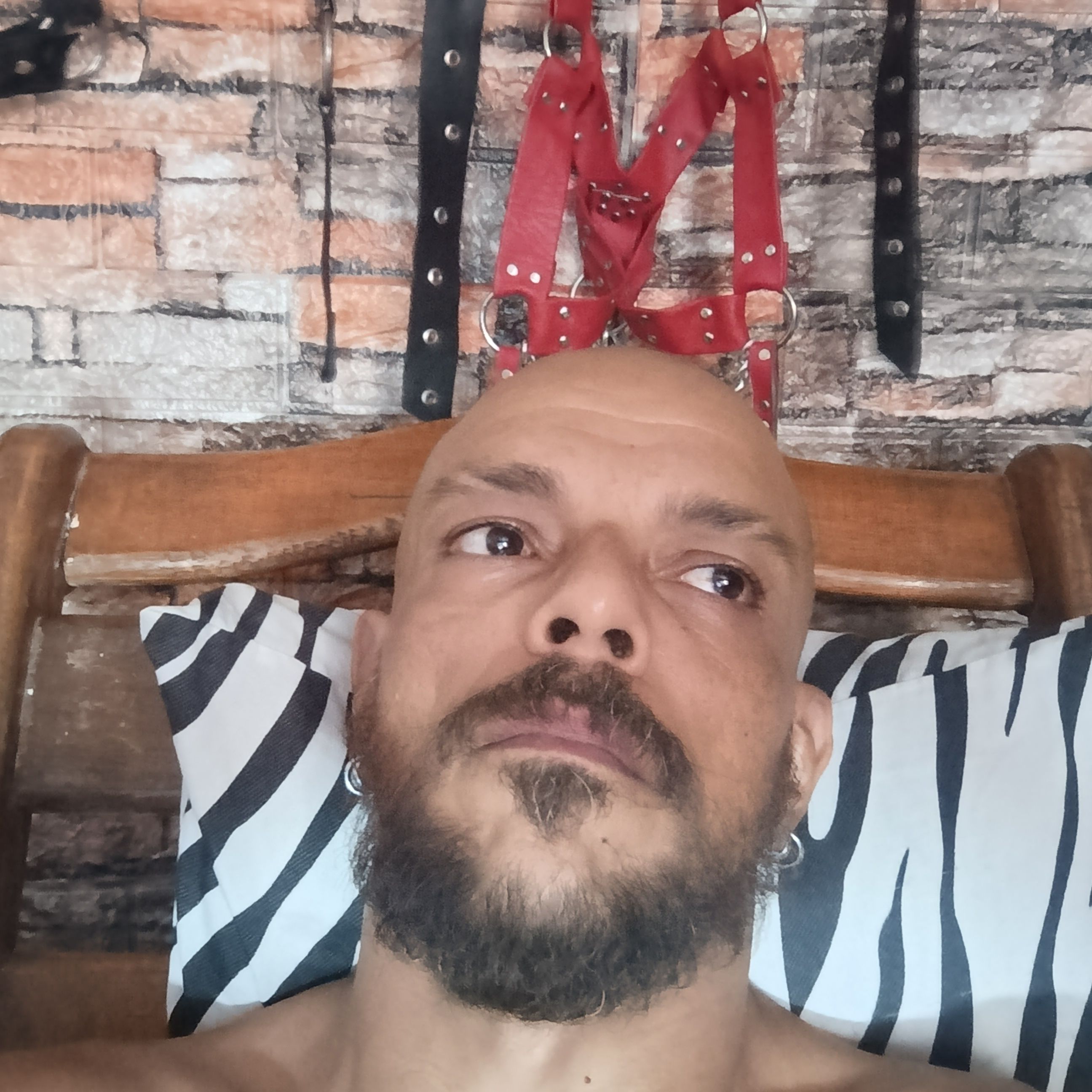 Profile image of Charly_BC_BDSM