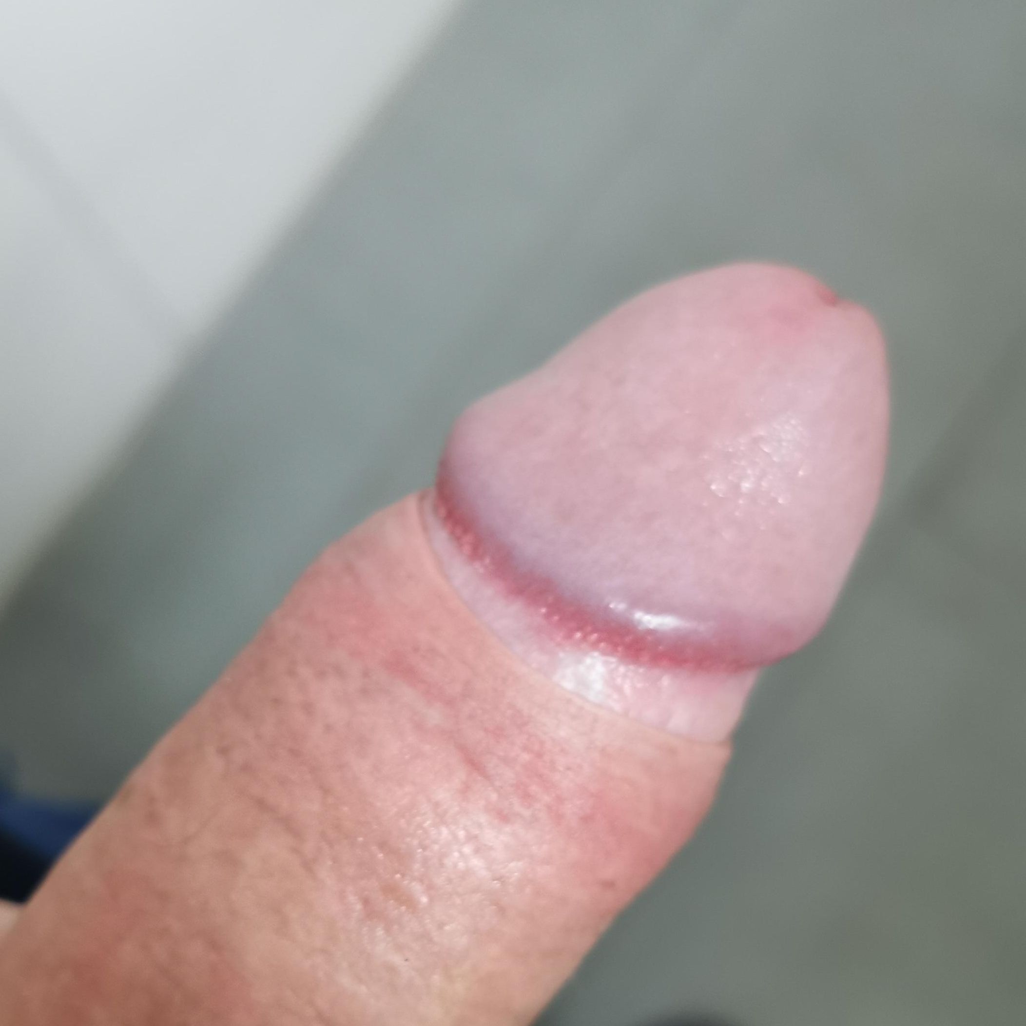 Profile image of Dickersw02