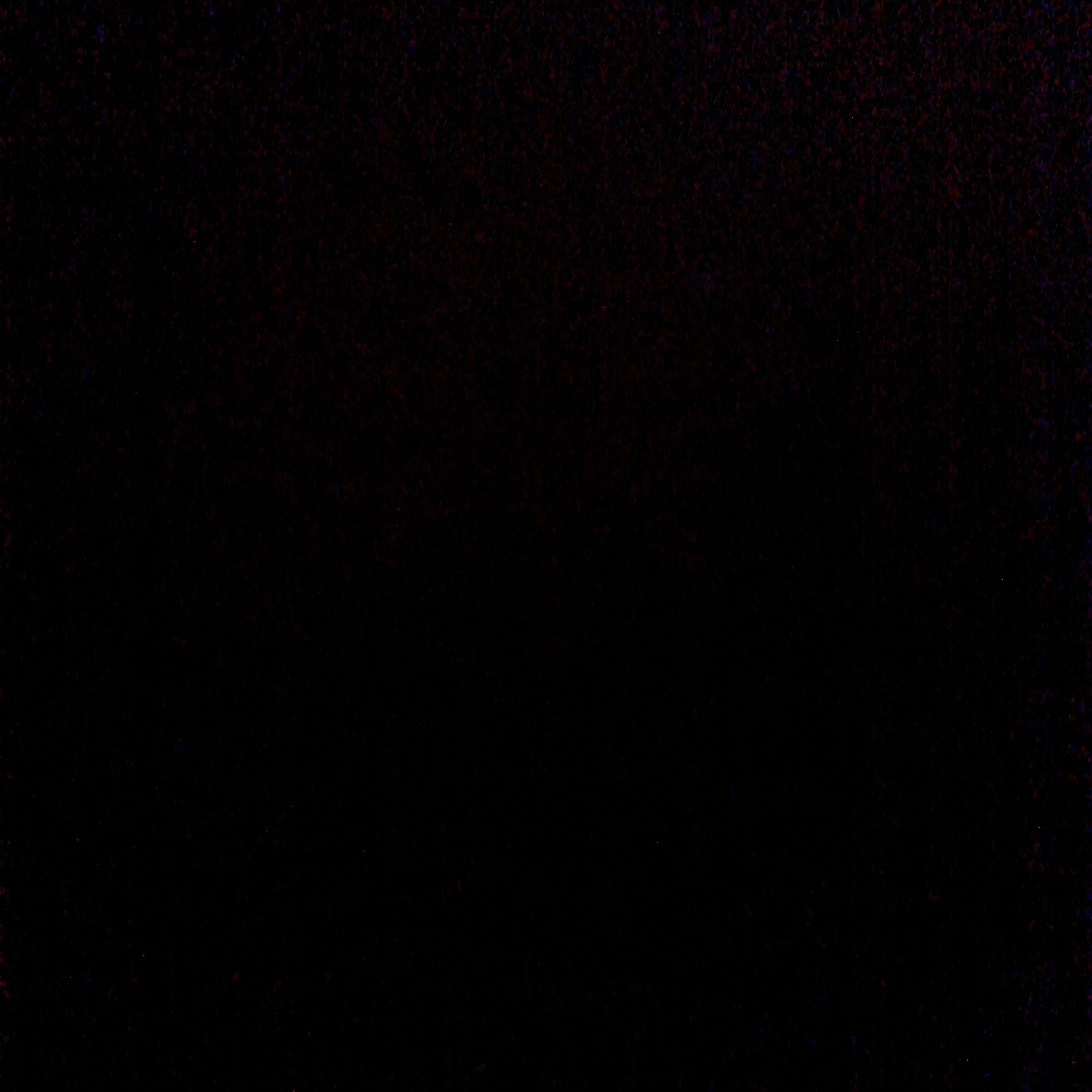 Profile image of Doudoune62
