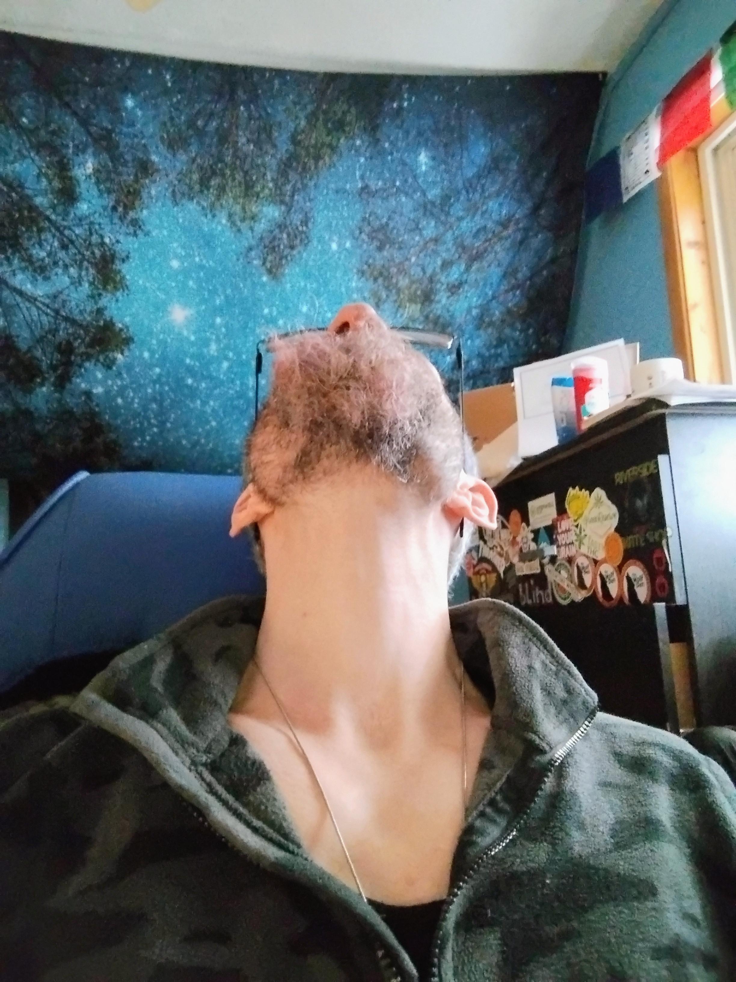 Profile image of Dreamcometru33