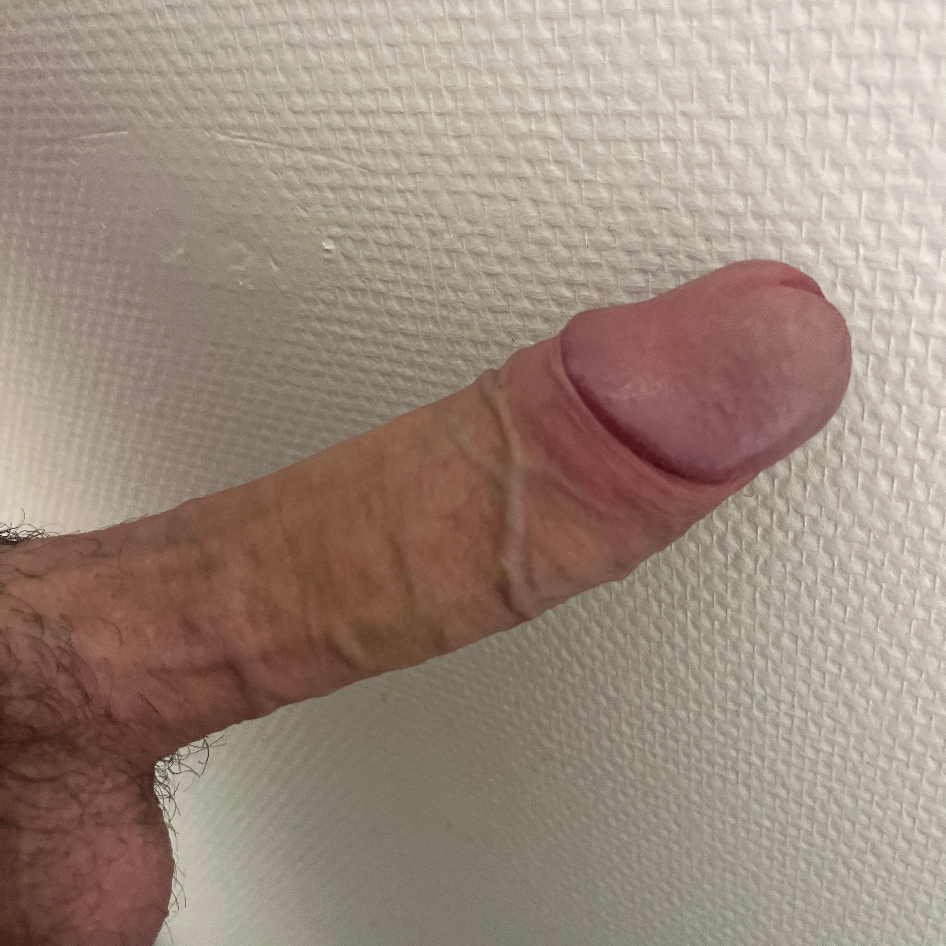 Profile image of Elchibre07