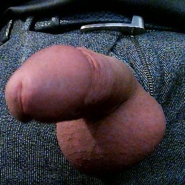 Profile image of GYO2424