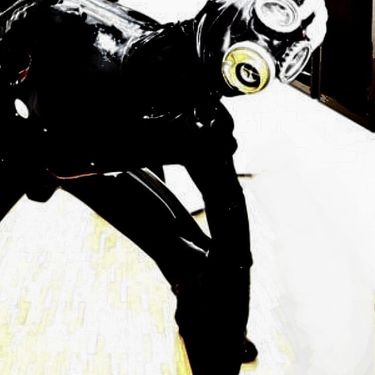 Profile image of GearPup2305