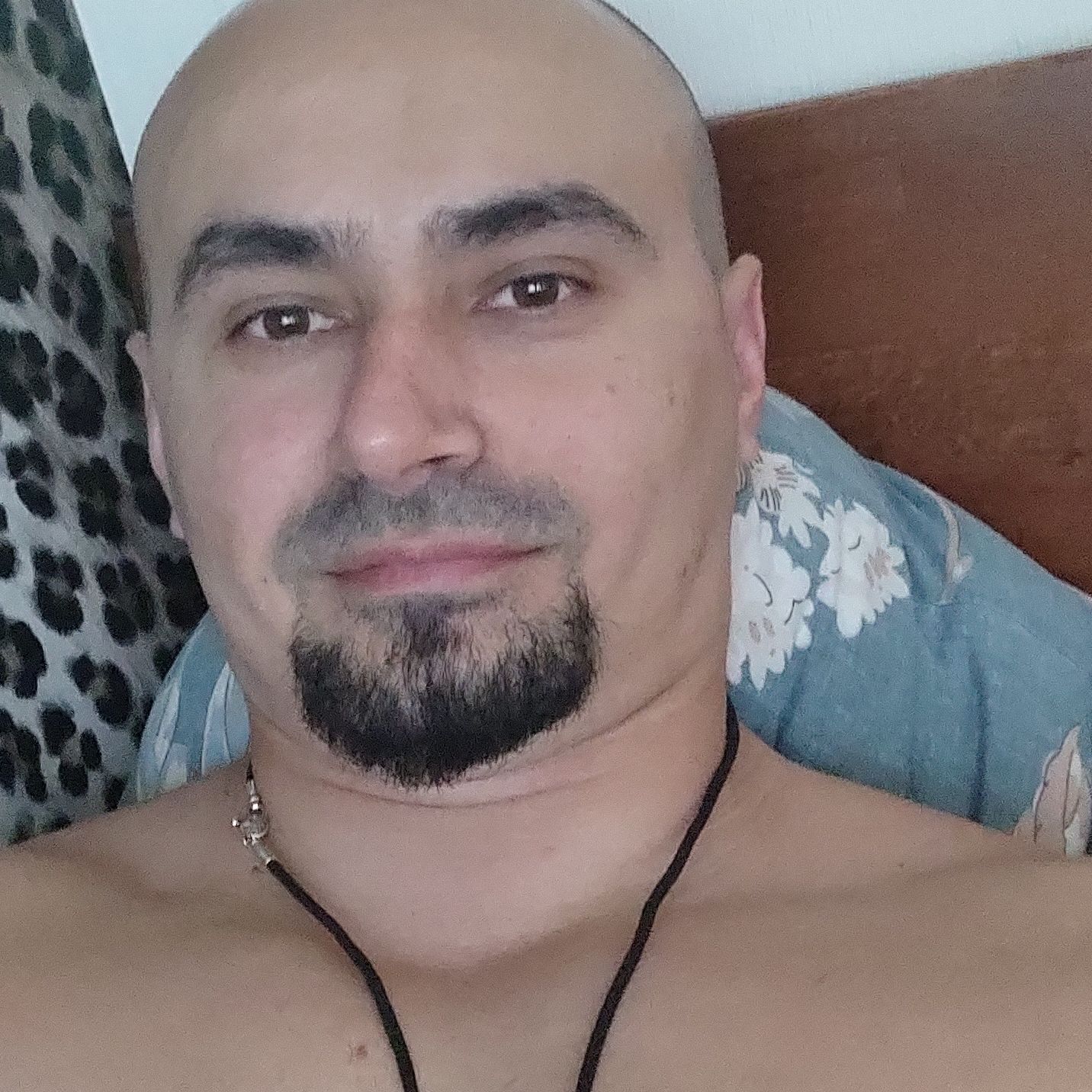 Profile image of Gri_SH