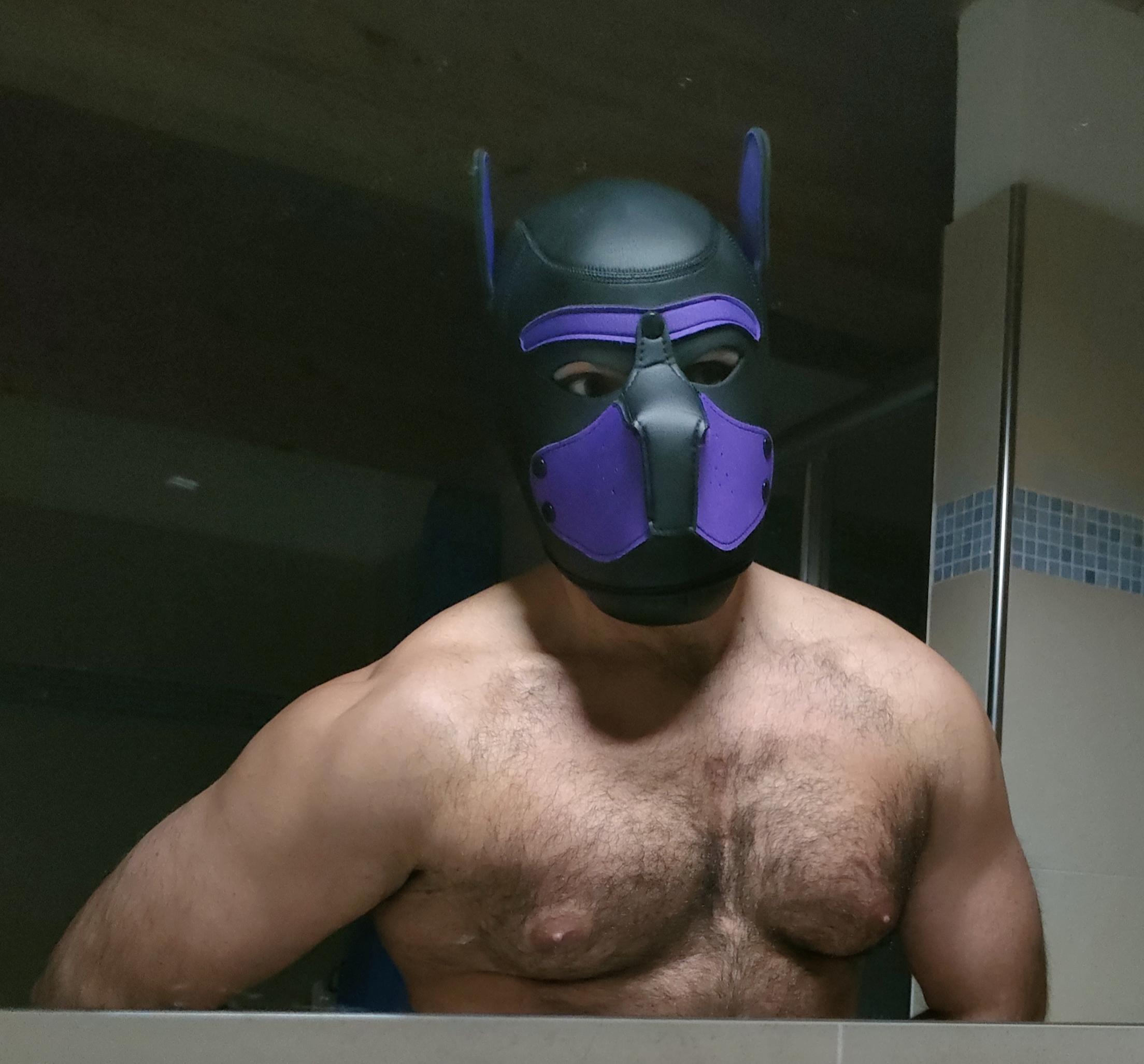 Profile image of Hairypuppy82