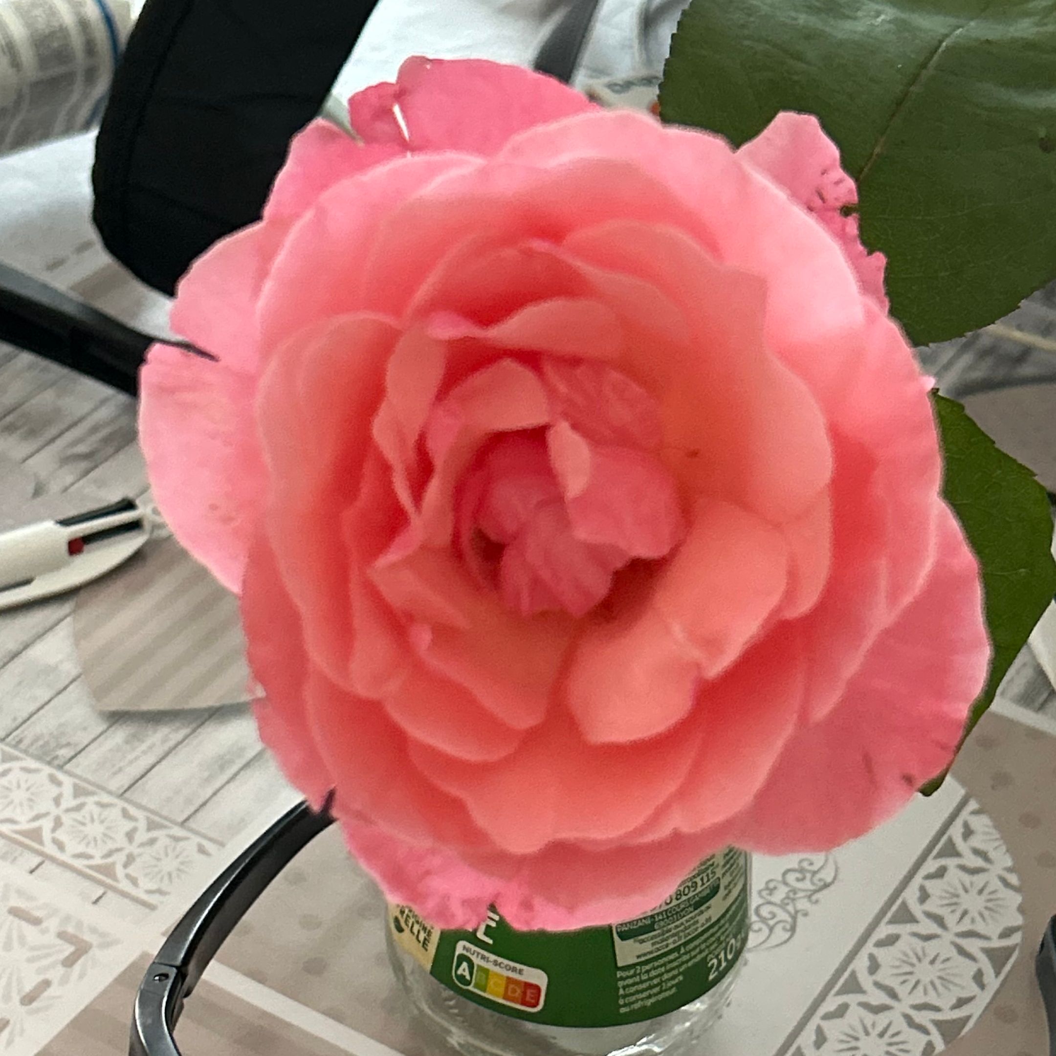 Profile image of Jometisselarose