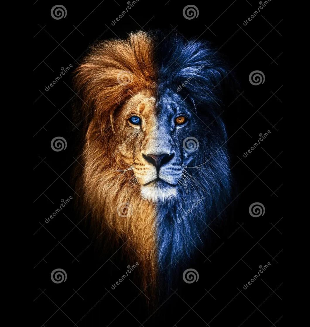 Profile image of LEAO_HOT_TESUDO