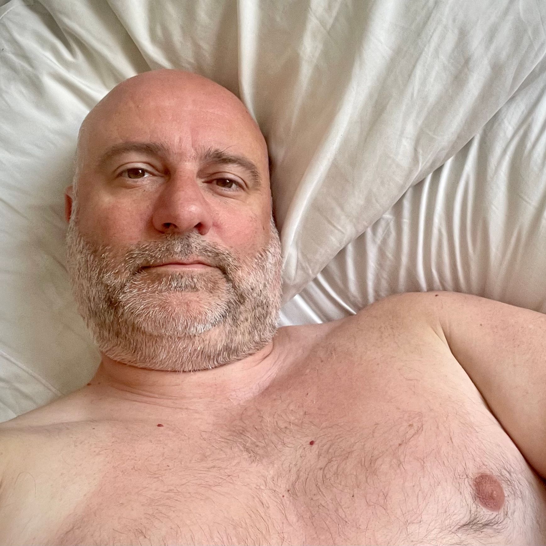 Profile image of LargelyBear
