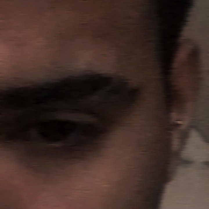 Profile image of Lipellotus