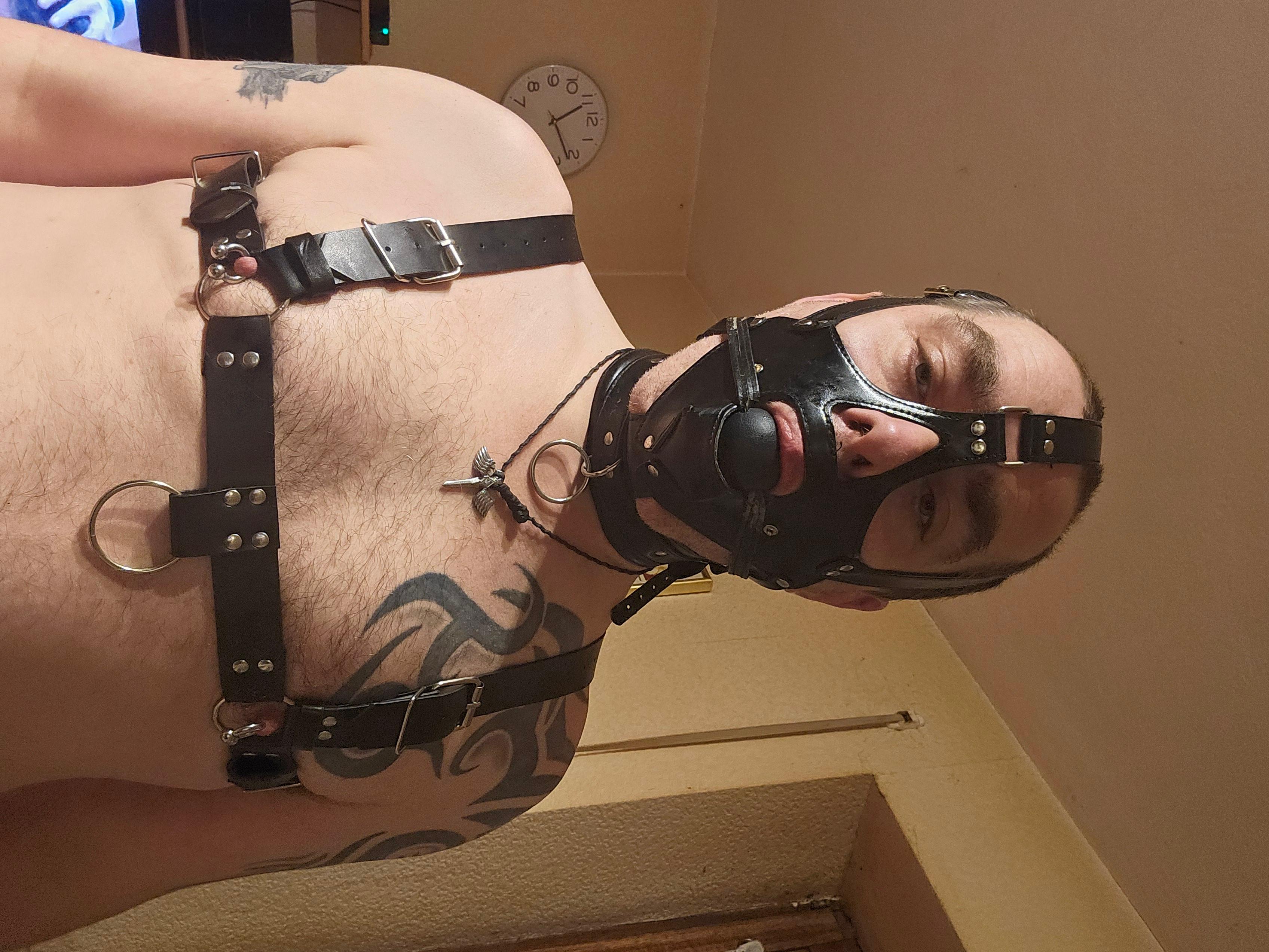 Profile image of Locked_slave44