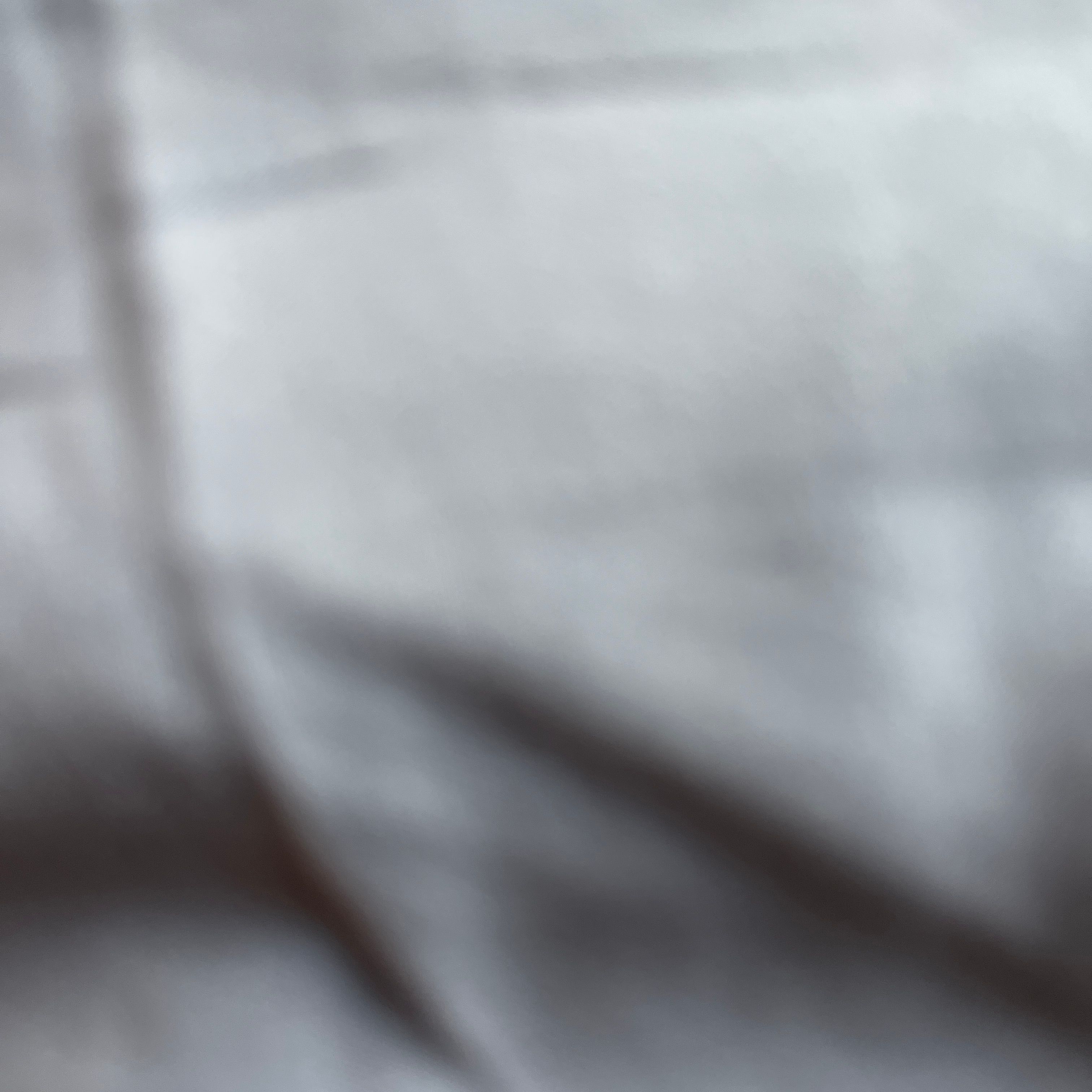 Profile image of LorenzoPa