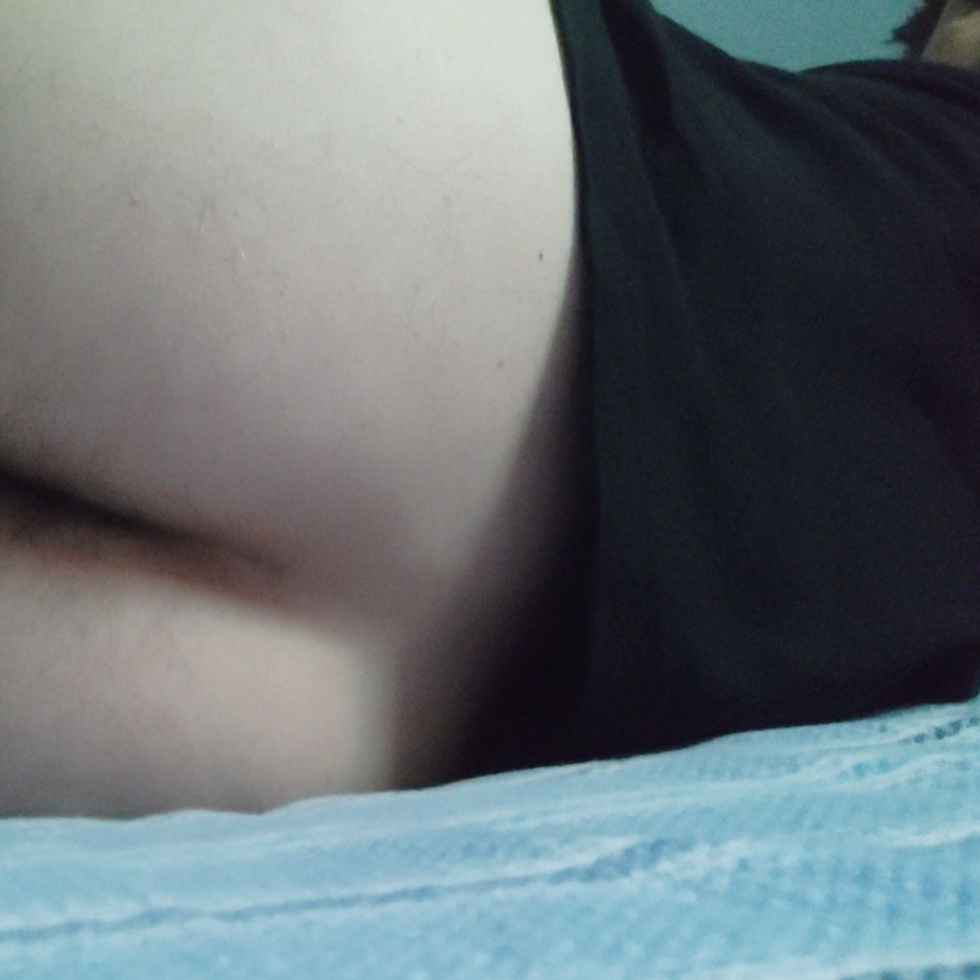 Profile image of Lorytravesta