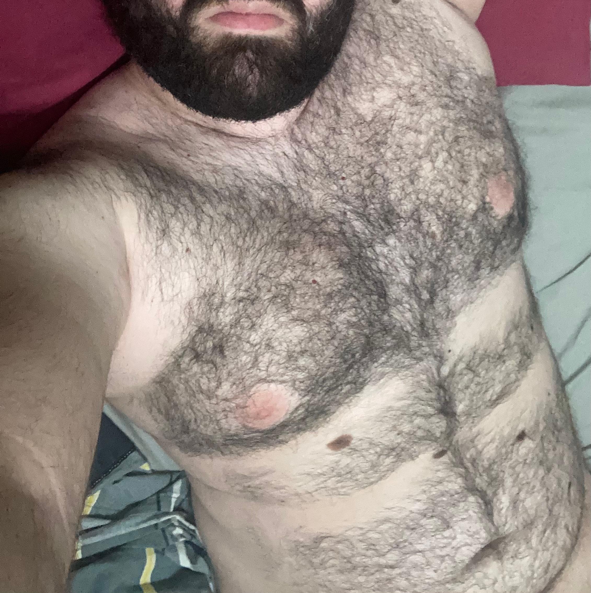 Profile image of LucasBear92