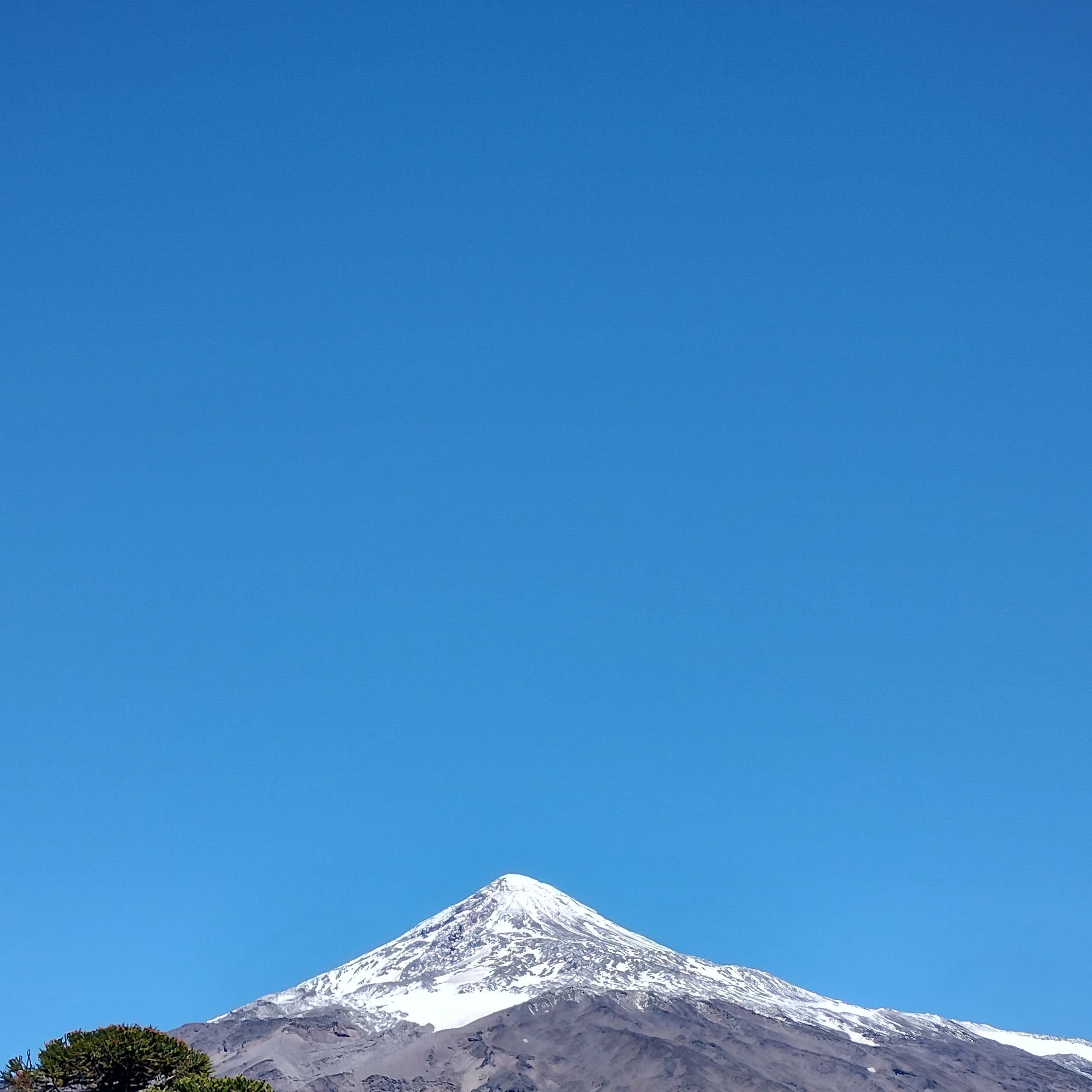 Profile image of Marcosporno19
