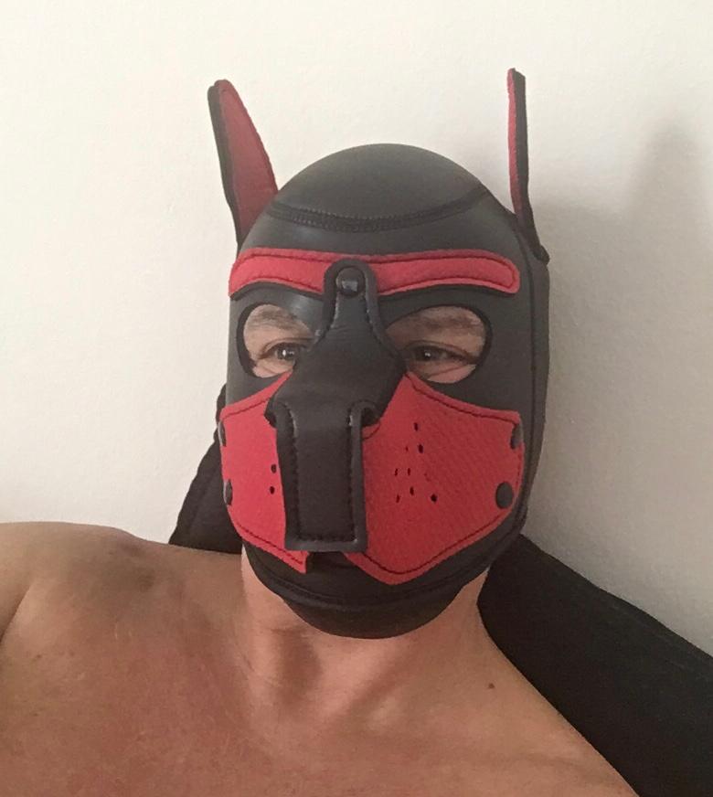 Profile image of MaskPor2022