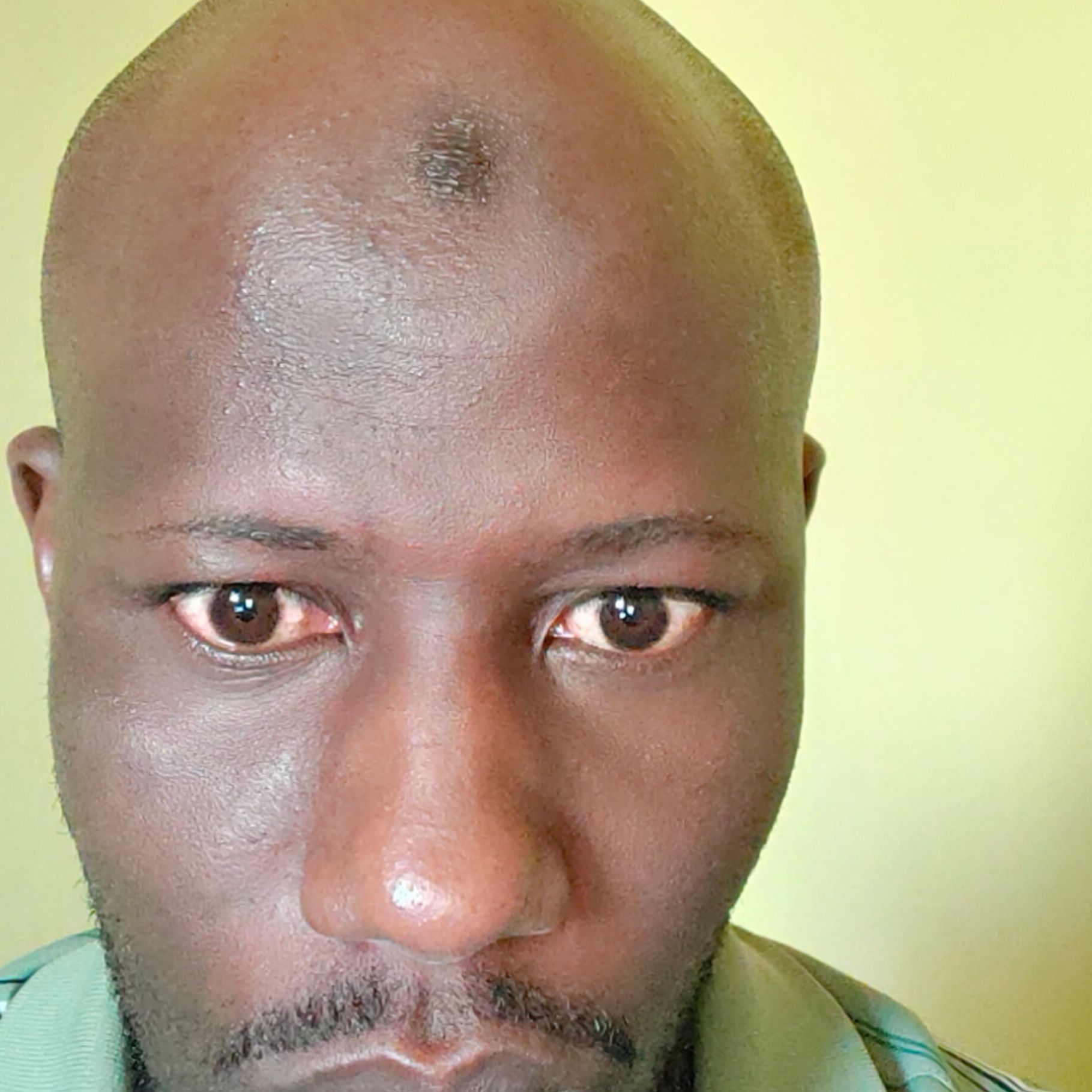 Profile image of Massailover
