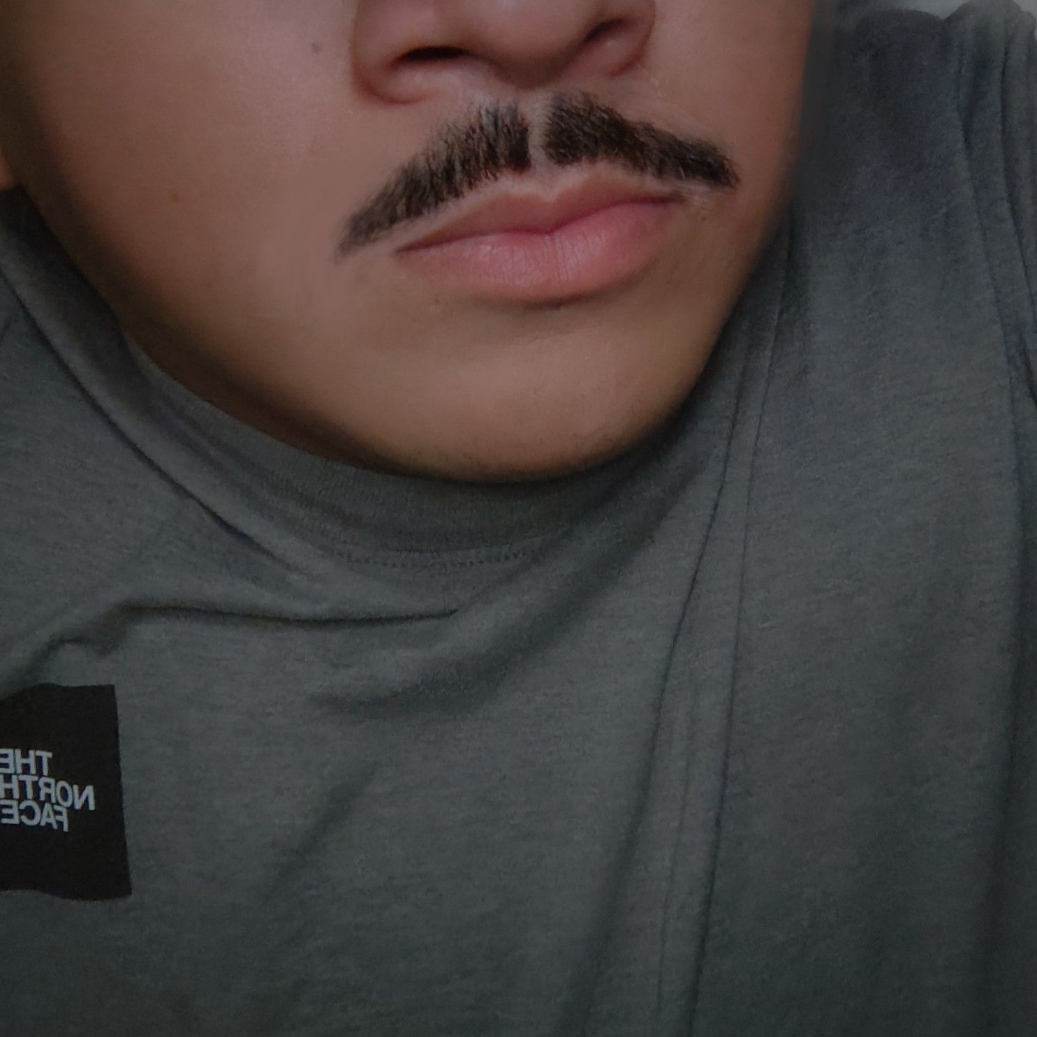 Profile image of Mecock4u