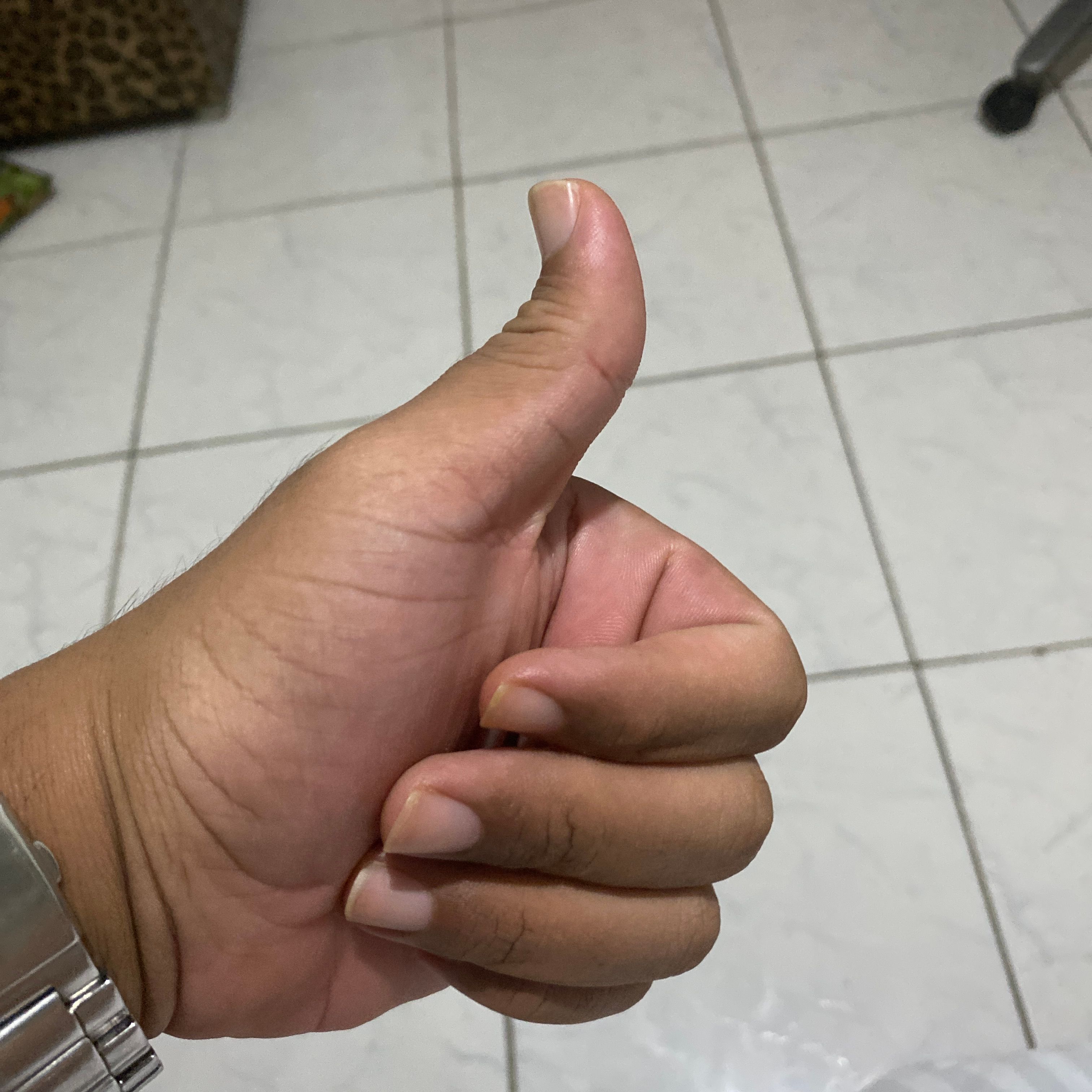 Profile image of Morenocam_2829
